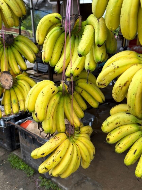 Fresh Robusta Bananas (1 dozen)