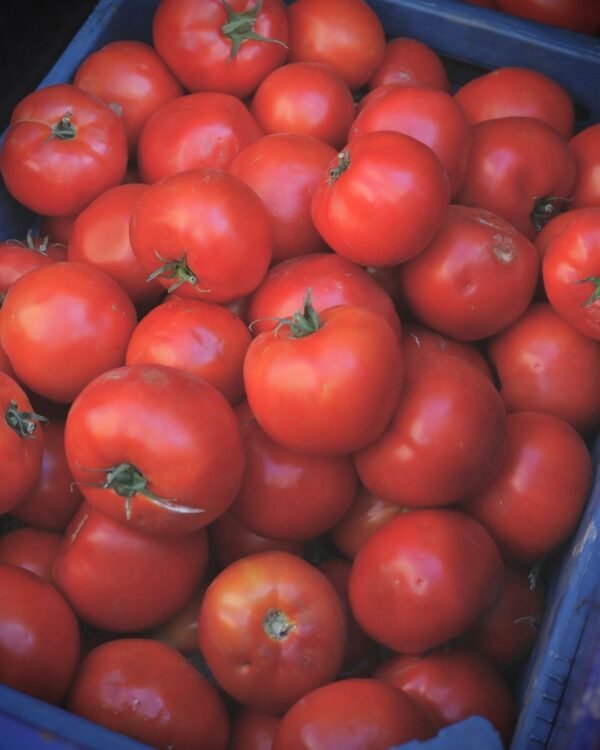 Farm-Fresh Tomatoes (1 kg)
