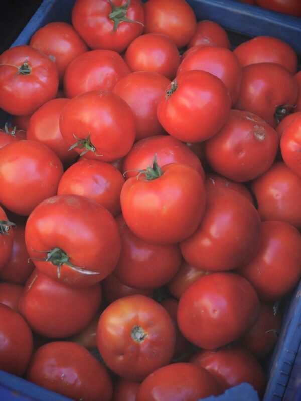 Farm-Fresh Tomatoes (1 kg)