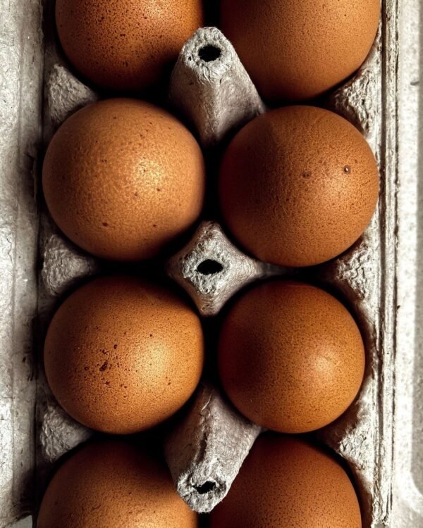Farm Brown Eggs (Pack of 6)